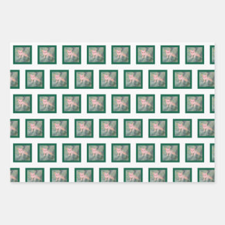 Papier d'enveloppement de Noël Kitty