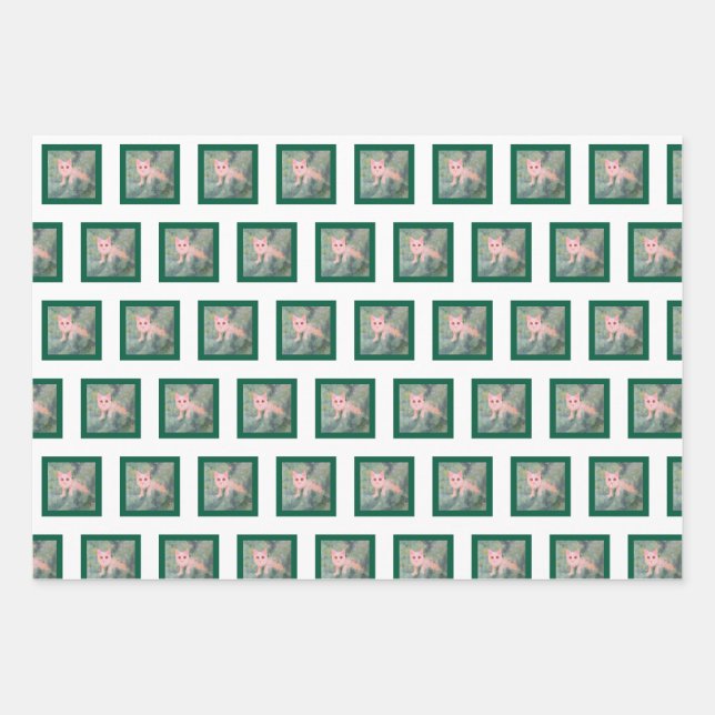 Papier d'enveloppement de Noël Kitty (Devant)