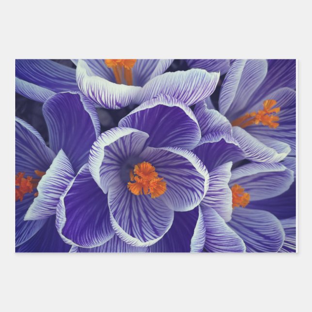 Papier d'enveloppement de tulipes violettes (Devant)