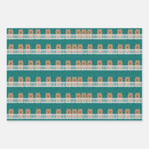Papier d'enveloppement Norwich Terrier Feuille pla
