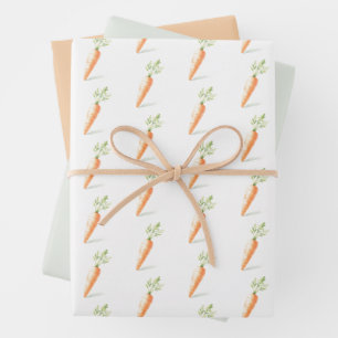 Papier d'enveloppement pâques de carottes