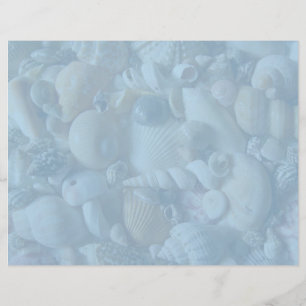 Papier en-tête de coquillage bleu clair Clearwater