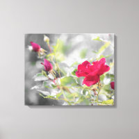 Papier en toile étirée Rose rouge