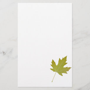 Papier jaune de papeterie de feuille de sycomore