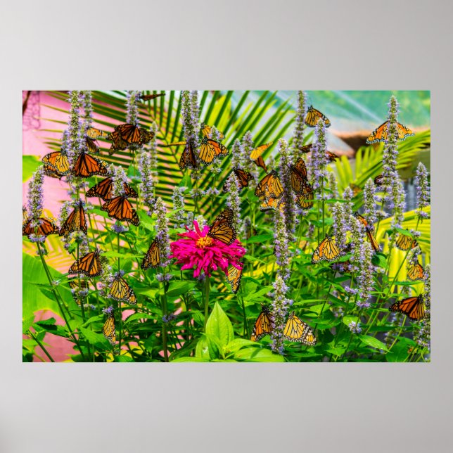 Papier monarque 36 x 24 Poster en papier d'archive (Devant)
