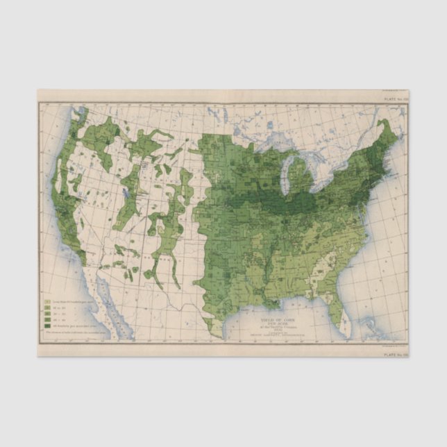 Papier Mousseline 155 maïs/acre (Recto)