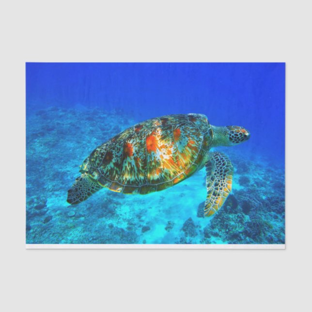 Papier Mousseline 30 sous-marins (Recto)