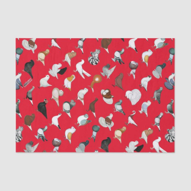 Papier Mousseline 36 races de pigeon (Recto)