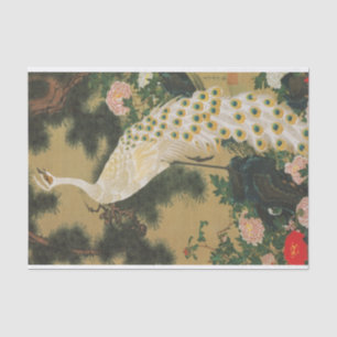 Papier Mousseline 9. 老 松 孔 雀 図, 冲 Vieux Pin et Pacock, Jakuchu, 若