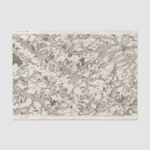 Papier Mousseline Abbeville