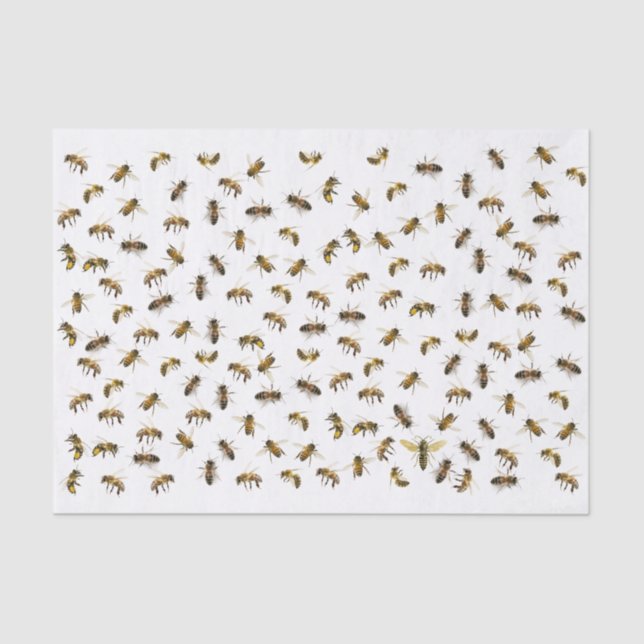 Papier Mousseline Abeilles ouvrières et enveloppes et découpage de l (Recto)