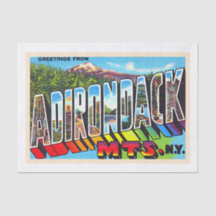 Papier Mousseline Adirondacks New York Vintage grande lettre carte p