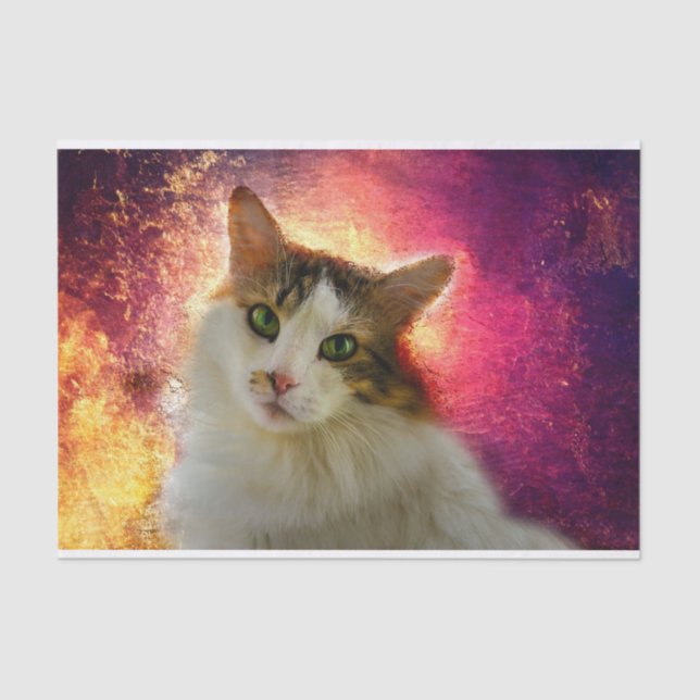 Papier Mousseline Adorable Cute Calico Chat (Recto)