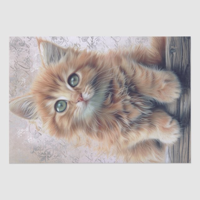 Papier Mousseline Adorable Ginger Fluffy Kitten (Recto)