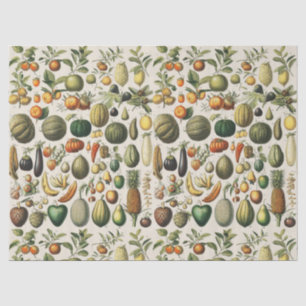 Papier Mousseline Affiches de fruits botaniques vintage françaises