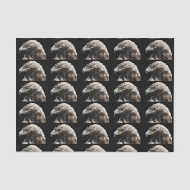 Papier Mousseline Aigle (Recto)