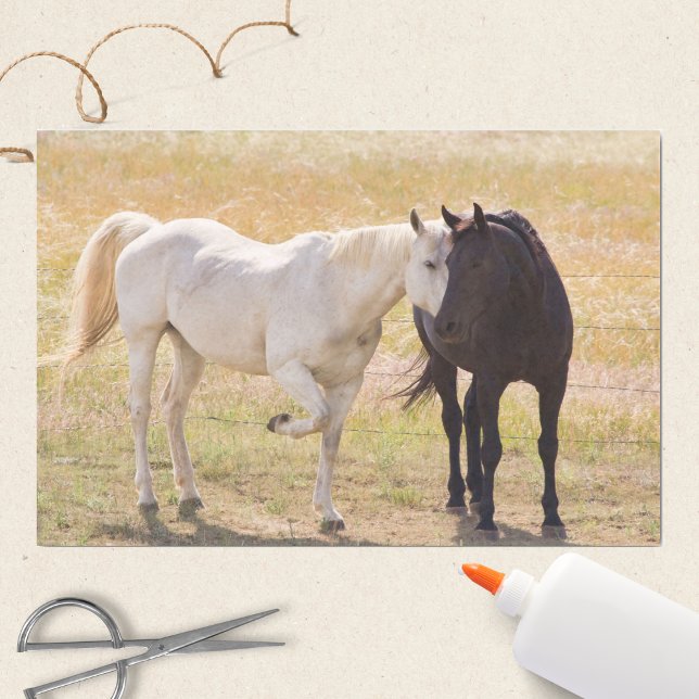 Papier Mousseline Aimer les Chevaux (Créateur téléchargé)