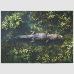 Papier Mousseline Alligator dans les eaux peu profondes des zones hu