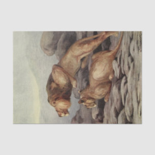 Papier Mousseline Amateurs de lions cool découpage artisanat