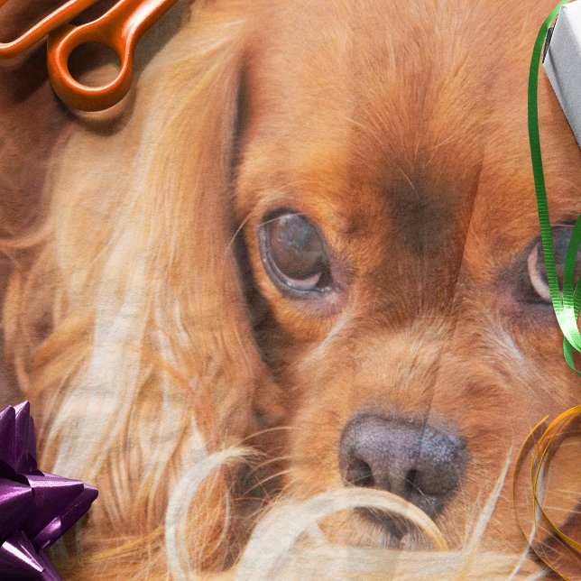 Papier Mousseline Ami doux Cavalier King Charles (Créateur téléchargé)