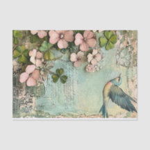 Amis chanceux et amis plumes