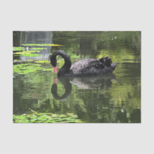 Papier Mousseline Amour de cygne
