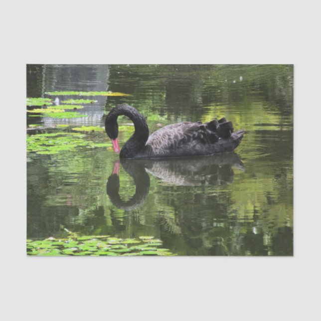 Papier Mousseline Amour de cygne (Recto)