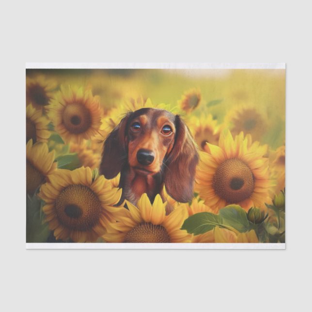 Papier Mousseline Amour de Tournesol, Dachshund brun à longs poils (Recto)