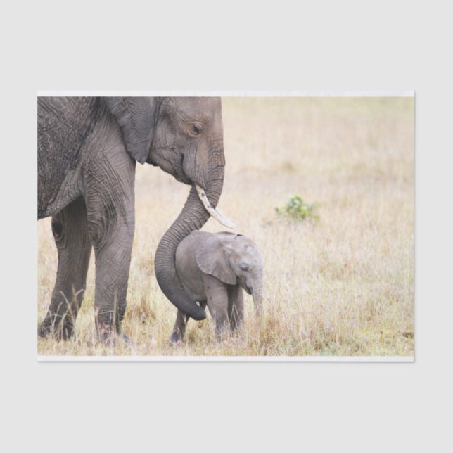 Papier Mousseline Amour maternel (Recto)