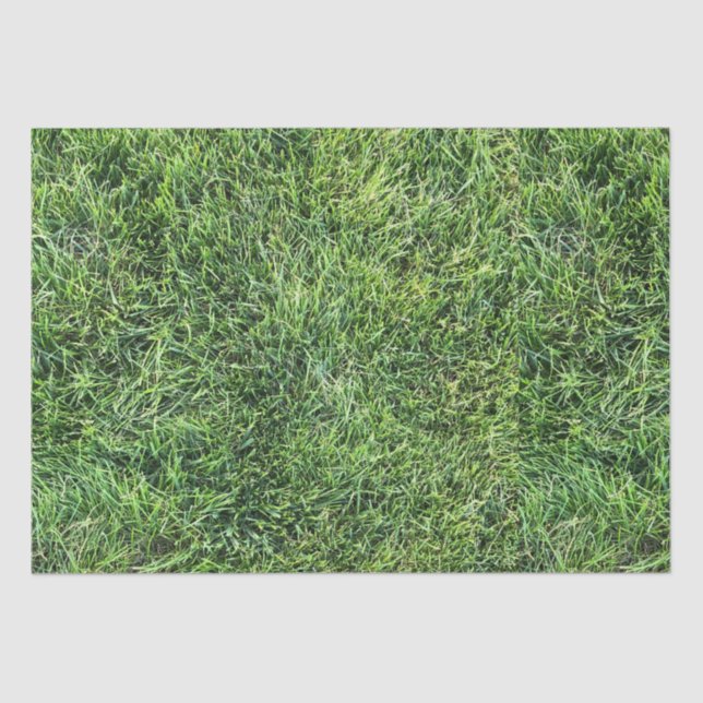 Papier Mousseline Amusante herbe verte vraie texture photo motif pla (Recto)
