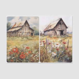 Papier Mousseline Anciennes Barnes robustes