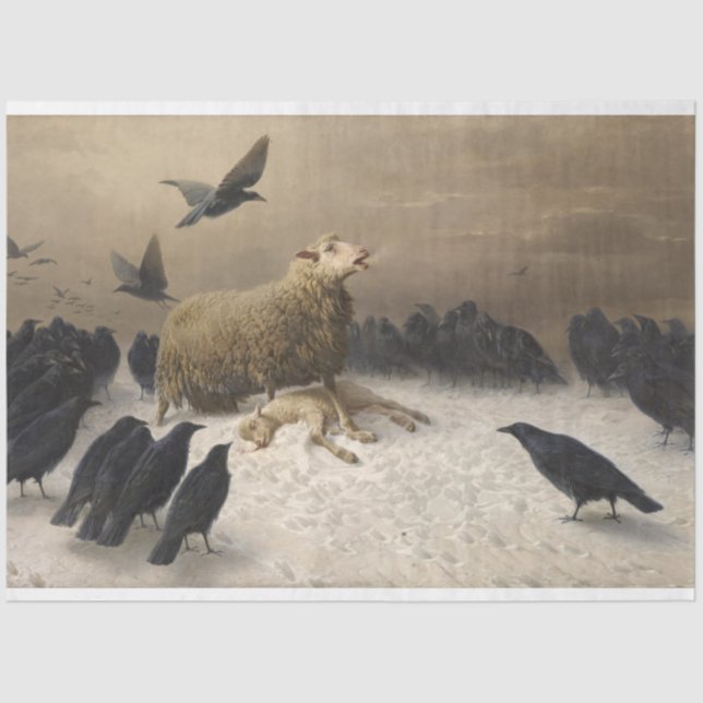 Papier Mousseline Anguish : Mouton avec un agneau mort (Recto)