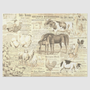 Papier Mousseline Animaux domestiques Vintages rustiques Ephémère Be