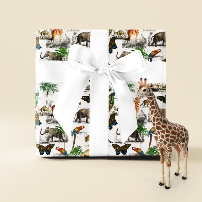 Papier Mousseline Animaux vintages De D'Orbigny (Créateur téléchargé)