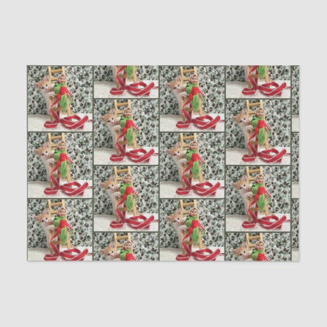 Papier Mousseline Annie et l'Elfe - Chat / Kitten Tissus Papier (Recto)