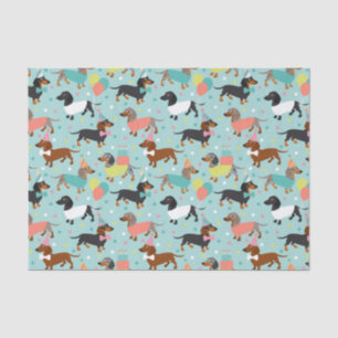 Papier Mousseline Anniversaire de Dachshund