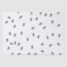 Annonce aérienne de 1910