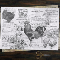 Annonces horticoles du coq antique Ephemera Grey