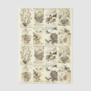 Papier Mousseline Antique Catalogue Vintage de graines de fleurs Bei