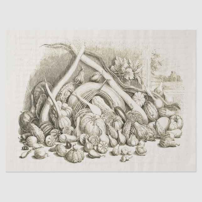 Papier Mousseline Antique Citrouille Vintage Squash Beige (Recto)