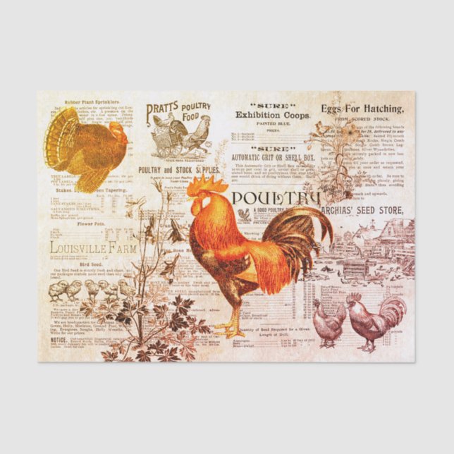 Papier Mousseline Antique Rooster Horticulture Annonces Ephemera Rou (Recto)