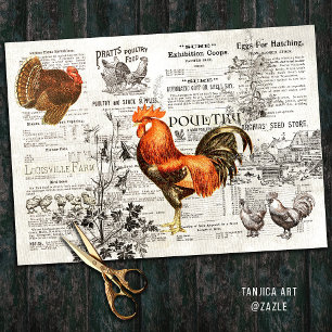 Papier Mousseline Antique Rooster Vintage Horticulture Annonces Ephe