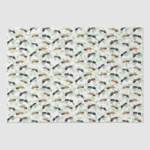 Papier Mousseline Ants Insectes Bugs Déplaisant Crawly Créatures