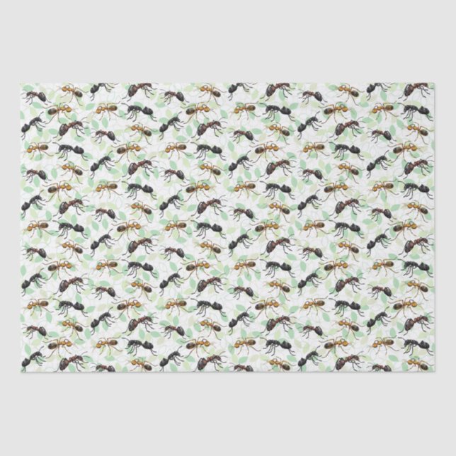 Papier Mousseline Ants Insectes Bugs Déplaisant Crawly Créatures (Recto)