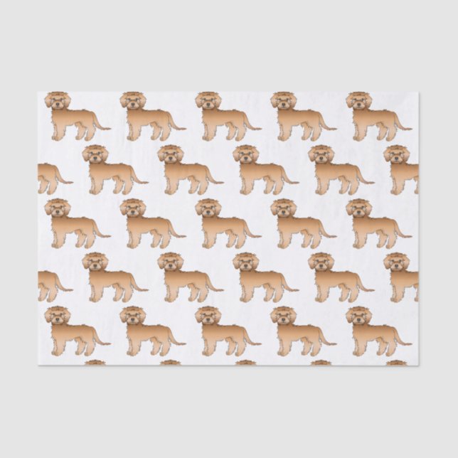Papier Mousseline Apricot Mini Goldendoodle mignon Motif de dessin a (Recto)