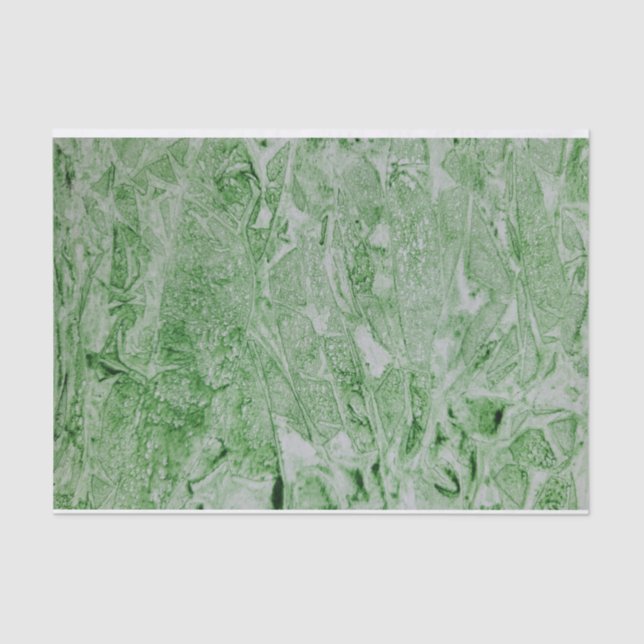 Papier Mousseline Aquarelle Abstraite verte (Recto)