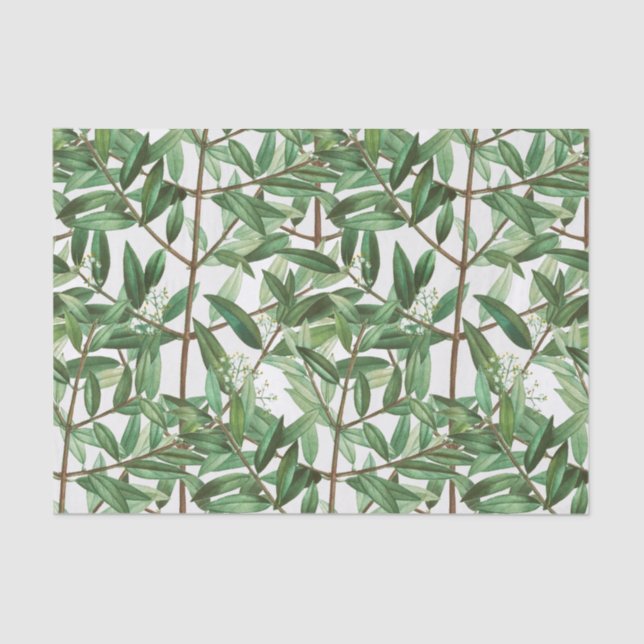 Papier Mousseline Aquarelle botanique de feuillage vert (Recto)