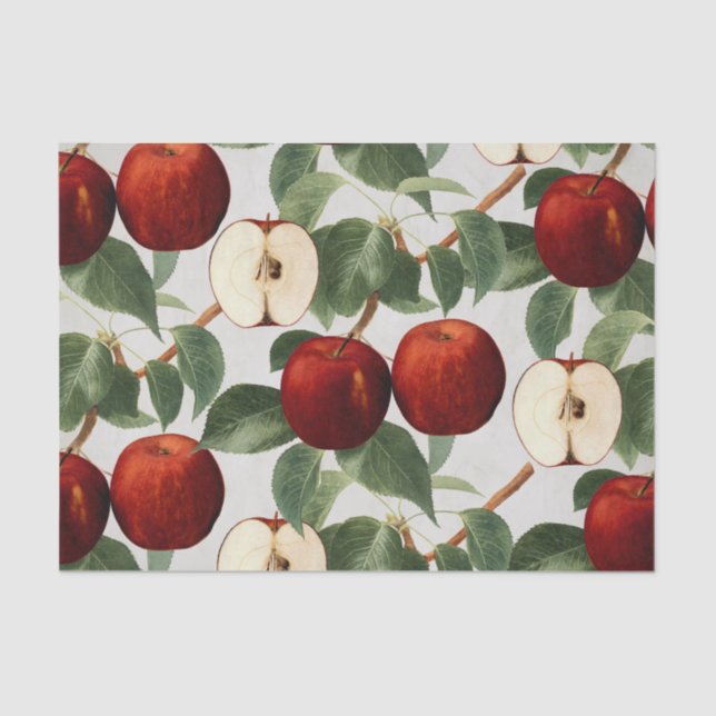 Papier Mousseline Aquarelle botanique vintage de pommes rouges (Recto)