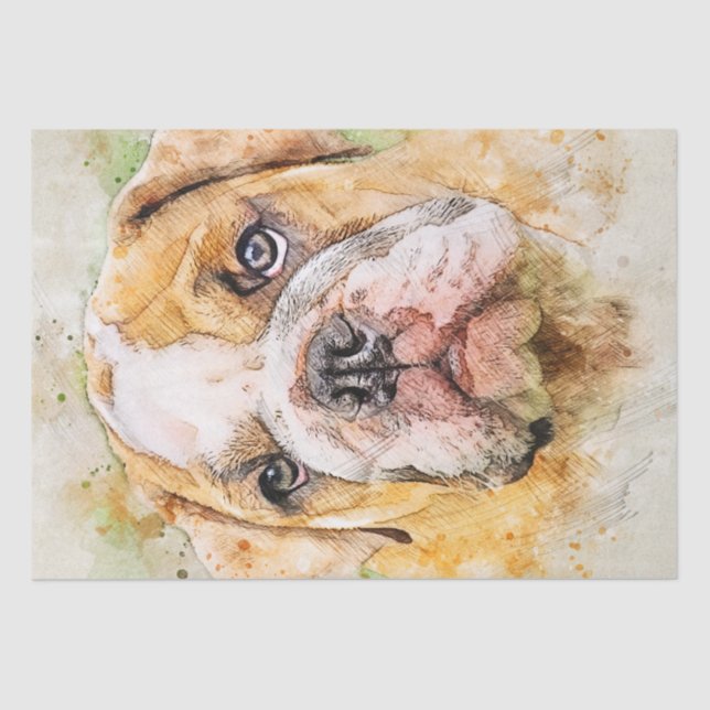 Papier Mousseline Aquarelle Bulldog (Recto)