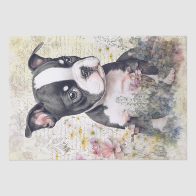 Papier Mousseline Aquarelle de Boston Terrier Puppy (Recto)